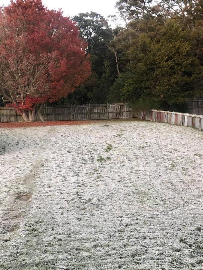 Moore St Cottage Ohakune Eksteriør billede